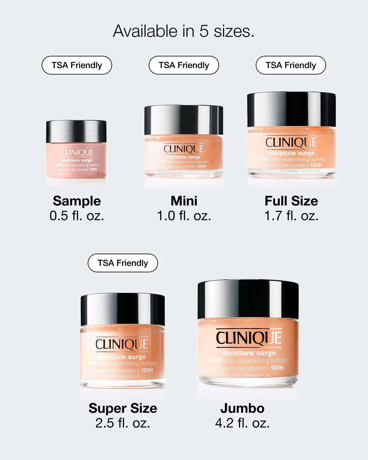 Moisture Surge™ 100H Auto-Replenishing Hydrator - US 5144