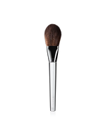 Powder Brush - US 3737