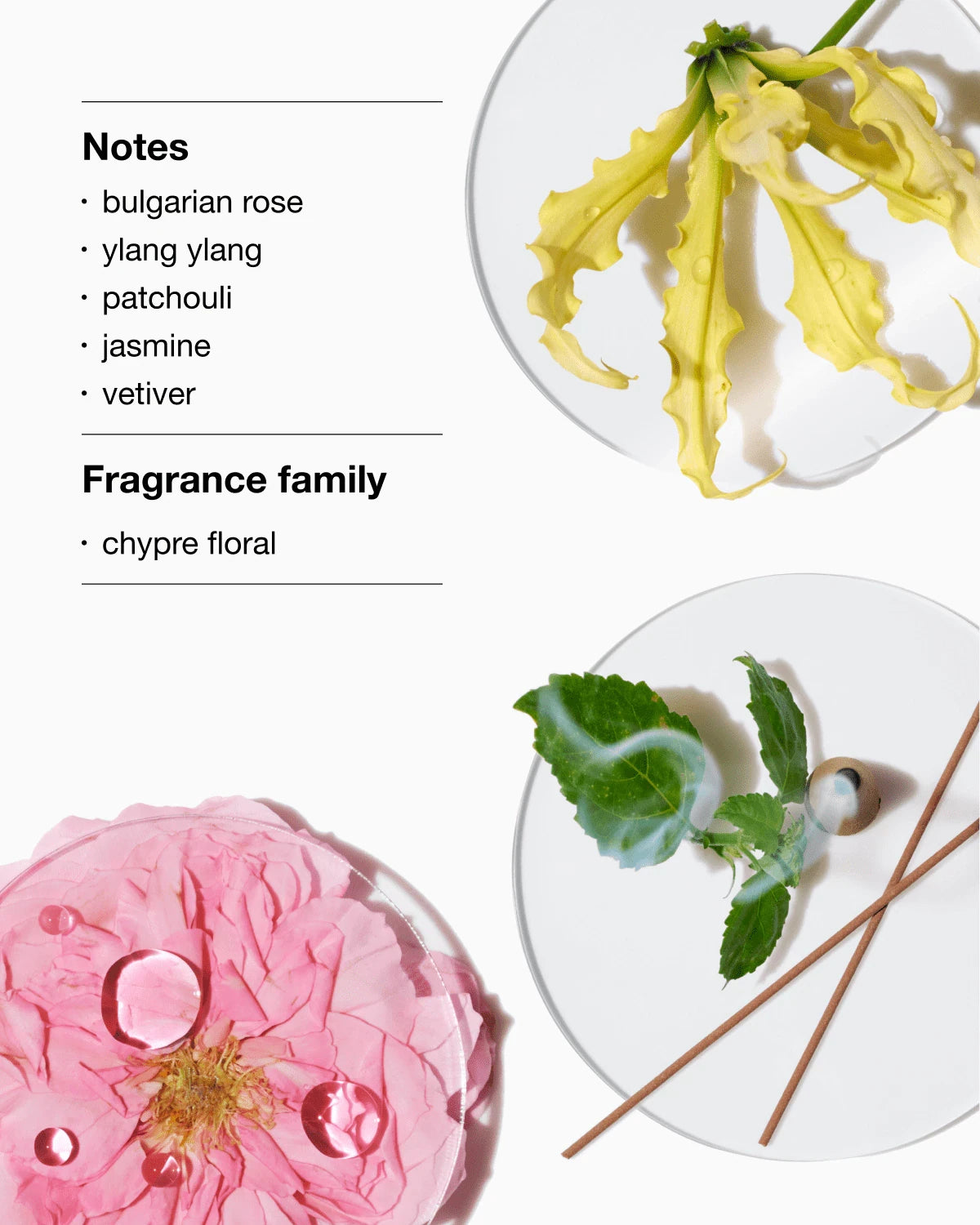 Aromatics Anywhere Fragrance Set - US 8049